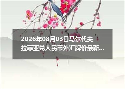2026年08月03日马尔代夫拉菲亚兑人民币外汇牌价最新兑换参考价