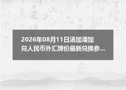 2026年08月11日汤加潘加兑人民币外汇牌价最新兑换参考价
